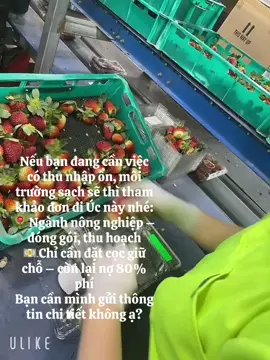 Đơn đóng gói hoa quả m.n quan tâm liên hệ em ngay để được tư vấn #xkld #uc #donggoi #lamviec #laodongphothong 