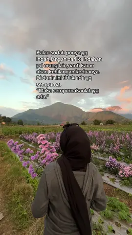 Gunung dan bunga ungu…