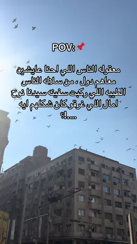 #CapCut #حقيقة #الجميع #اكسبلور #الشعب_الصيني_ماله_حل😂😂 