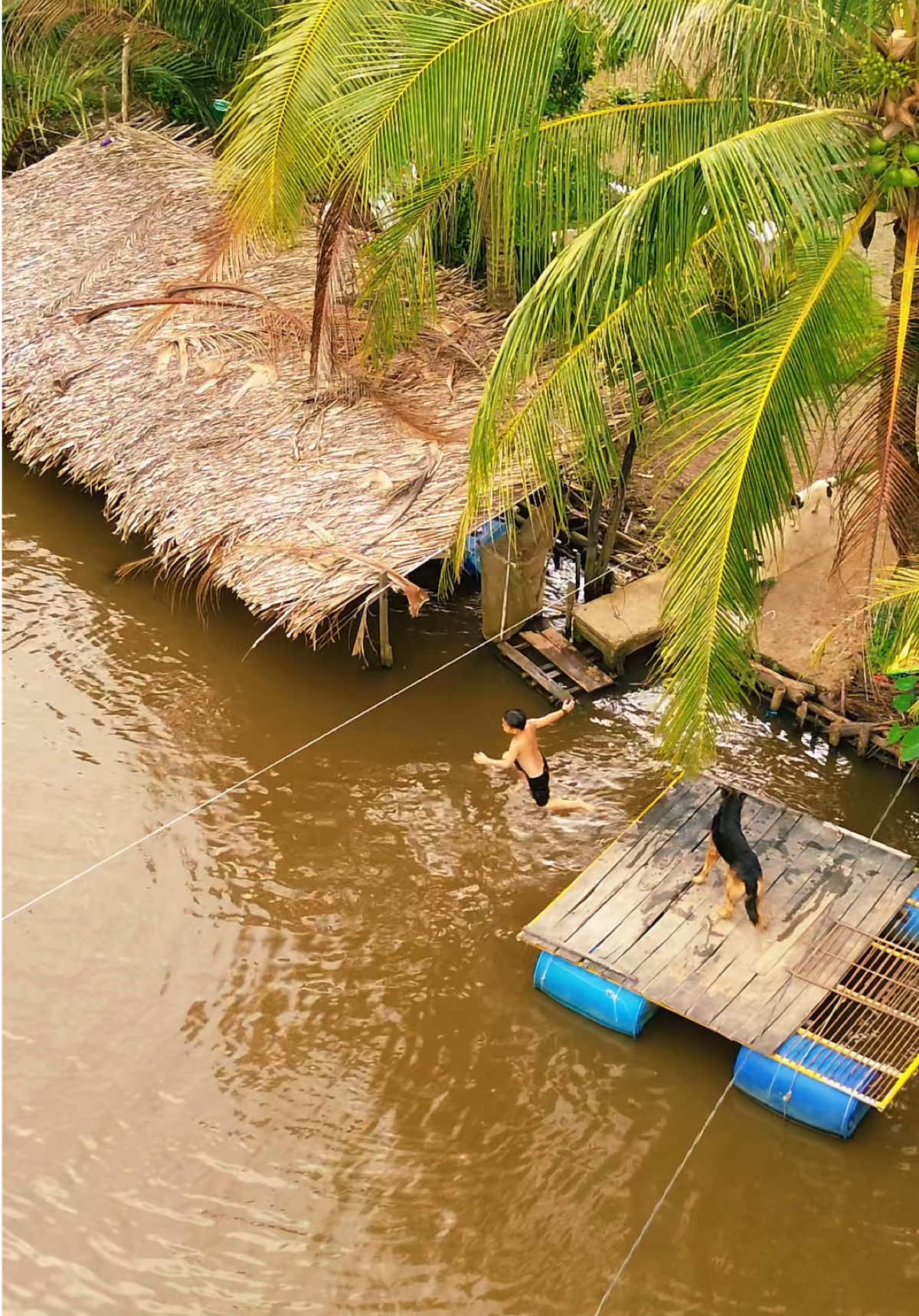 Cảnh yên bình quê tôi, các em nhỏ tắm sông, kênh gạch nhỏ miền quê, hồn nhiên, quay về tuổi thơ, ngày xưa, miền tây mãi trong tim. Cảnh đẹp miền tây sông nước #mientay #xuhuong #fyp #xh  #huynhphutien #soctrang #cantho #quehuong 