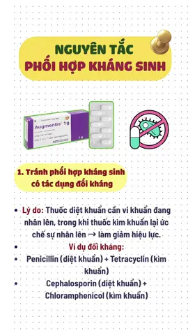 Nguyên tắc phối hợp kháng sinh#duocsi #yduoc #sinhvienyduoc #duoc #thuoc 