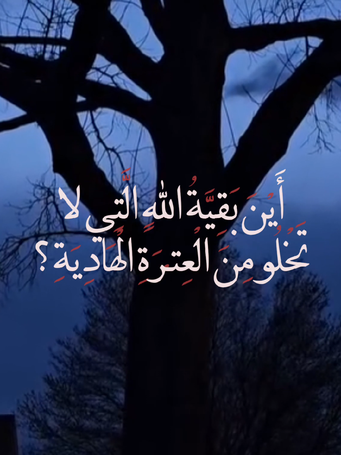 🙏🏻. #دعاء_العهد #محسن_فرهمند #دعاء_التوسل  #الحاج_مهدي_سماواتي  #امام_رضا  #viral  #اكسبلور 