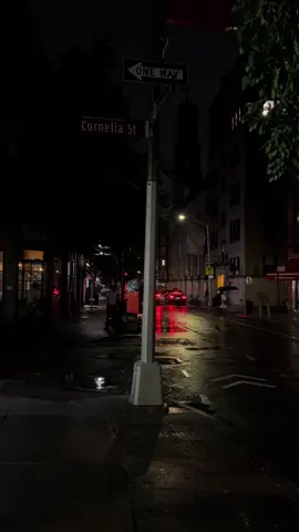 #westvillage #westvillagenyc #newyork #newyorkcity #fypシ #fyp 