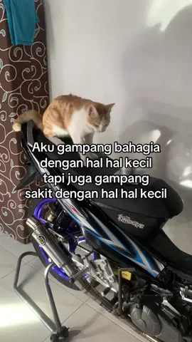 ☺️#5tpmenolakpunah✊ #5tpkebumen #5tpgank🚀 #5tpsoloraya #pragosgenk🤟 #jupiter130cc #jupiterz #5tpsoloraya🤪 #fyppppppppppppppppppppppp #masukberanda #foryoupage 