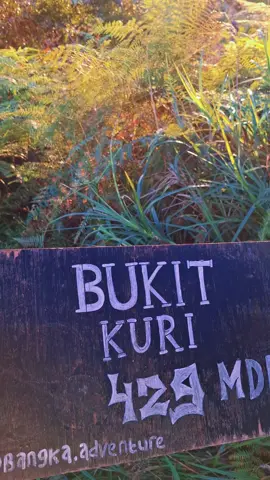 #bukitkuri #sunset #wisatakalbar #alamindonesia #pesonaindonesia 