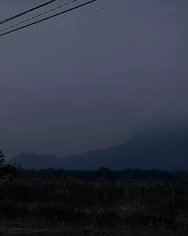 kembalilah, sayang. 