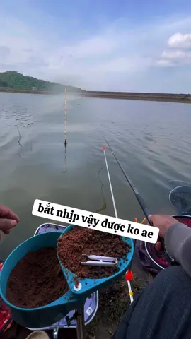 Cân 7 câu 3 #caucagiaitri #caucatunhien #xuhuongtiktok #fishing 