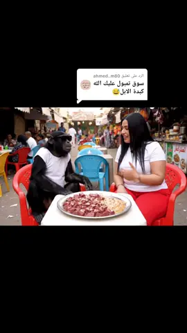 الرد على @ahmed..m80 #قرود_كسلا #قرود_الطائف #قرود_ابها #تمبول_البطانه❤❤❤ 