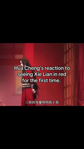 They mean so much to me. #mxtx #tgcf #tianguancifu #heavenofficalsblessing #hualian #huacheng #xielian #fypシ゚ #fyp #fy  