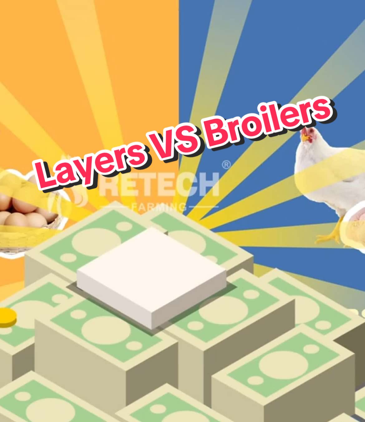 🚨 New to poultry farming in Kenya? Not sure whether to raise layers (for eggs) or broilers (for meat)? This video breaks it all down for you 👇 Kenya’s poultry sector is booming—and the right choice can set you on the path to success 🐓💰 👀 Watch now to learn: 🟡 Key differences between layers and broilers 🟡 Real-world tips for first-time farmers 🟡 Expert advice from RETECH Farming on how to start smart with the right equipment 👉 Whether you want long-term income from eggs or quick turnover from meat, RETECH Farming has you covered with expert consultation, automatic systems, and farm solutions. 📞 Contact us for your poultry project: 📲 WhatsApp: +86 185 6181 8850 📧 Email: admin@retechfarming.com 🌐 www.retechfarming.com #RETECHFarming #PoultryFarming #LayerVsBroiler #KenyaAgriculture #BroilerFarming #LayerFarming #KenyaFarmers #kenya #chickenfarm #agriculture #poultryfarm