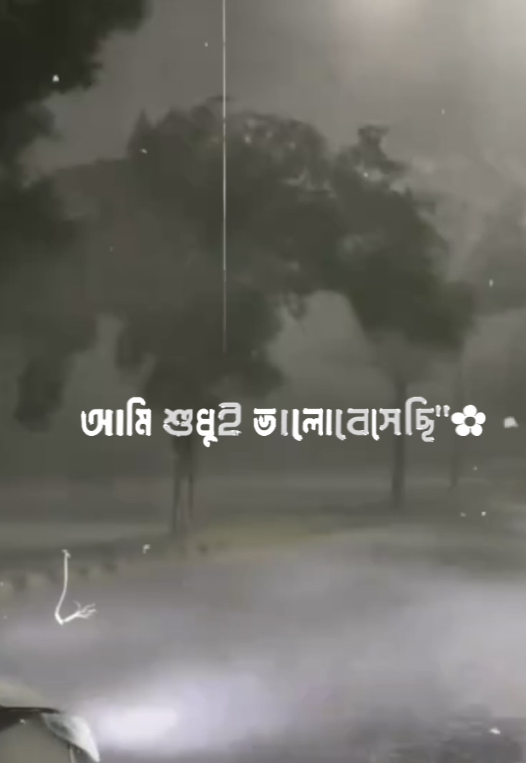 - মিথ্যে তার ভালোবাসা 
