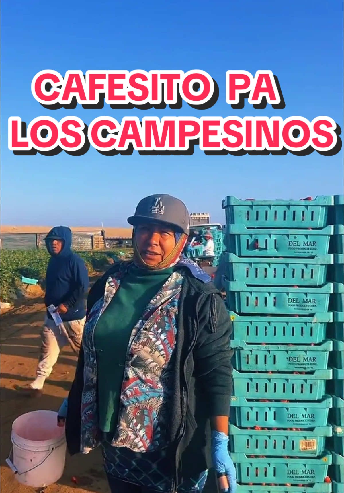 #tiktoklive #livehighlights #damecafeconleche Visitando a nuestros #campesinos #gentetrabajadoradelcampo de #oaxaca #michoacan #guerrero #damecafe 