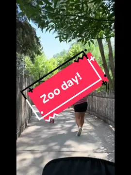 Fun at the zoo 🐯 🦁 #fyp #zoo #idaho #Summer #fun #family #viral @Mand 