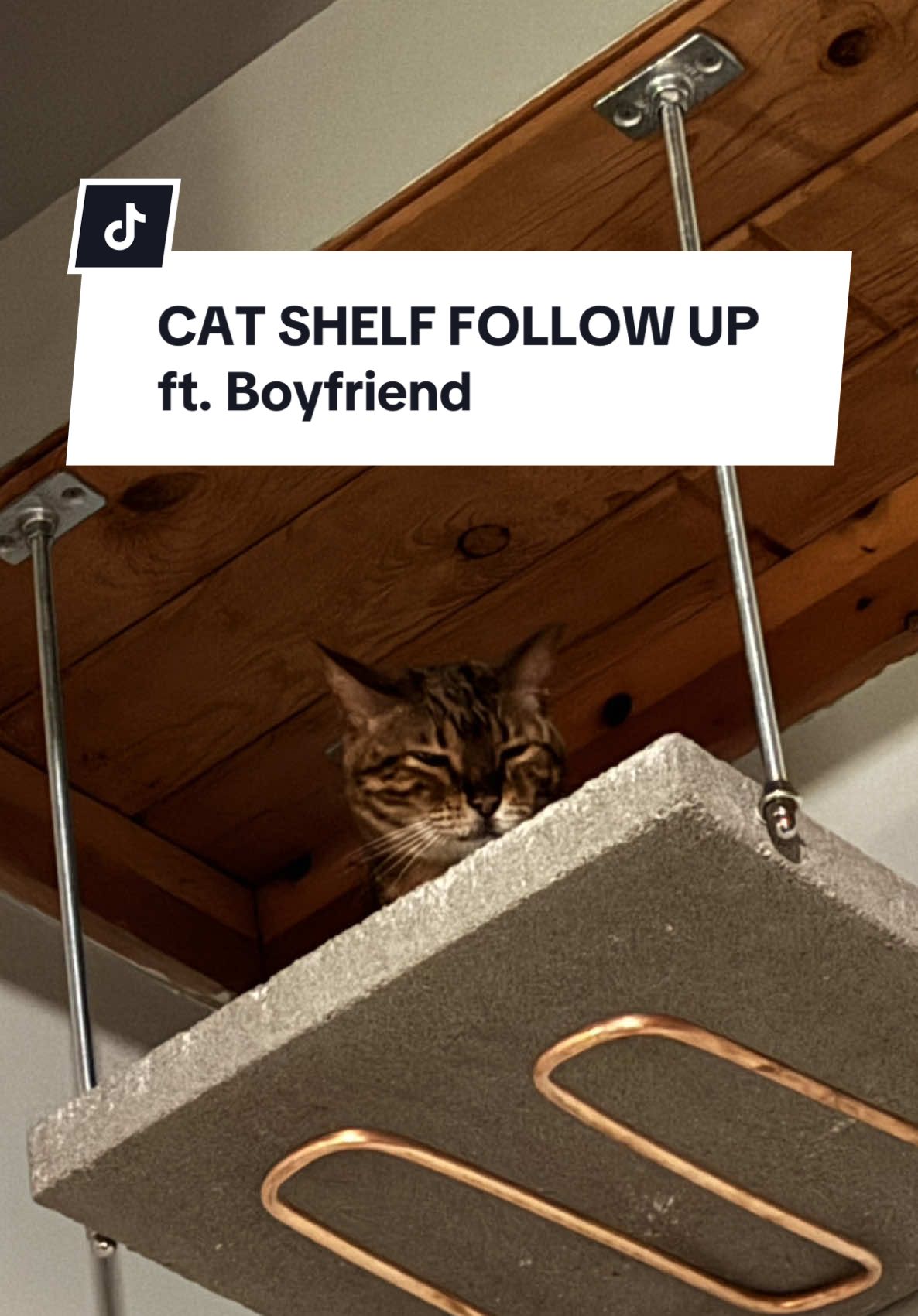 He said this is his first and last time ever responding to criticism on tik tok so now I have to fend for myself self when the second wave of comments come from this video 🫩 #fyp #concrete #catsoftiktok #cat #bengal #plumber #trend #concreteslab #concretecat 