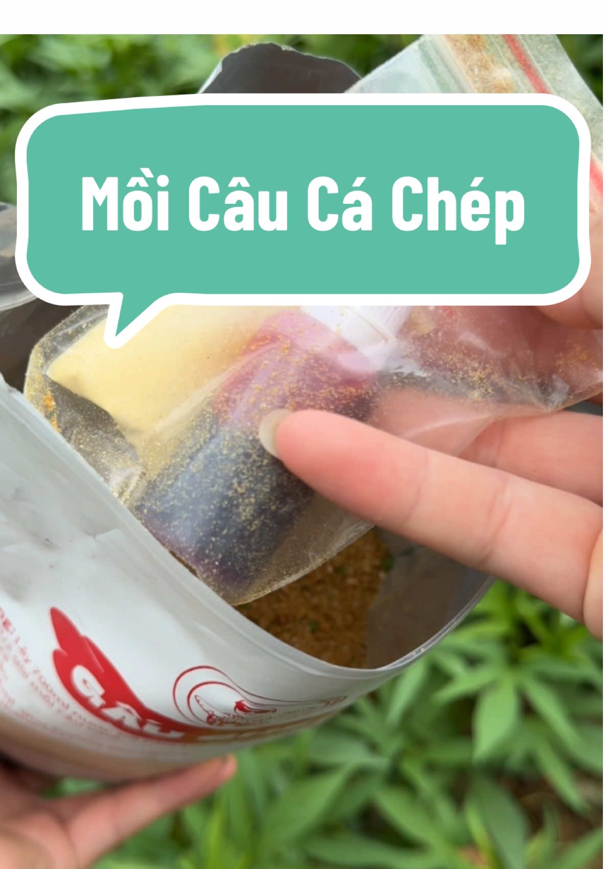 Mồi Câu Cá Chép Sẵn Hương Liệu #caucagiaitri #cauca #ngovanquan68 