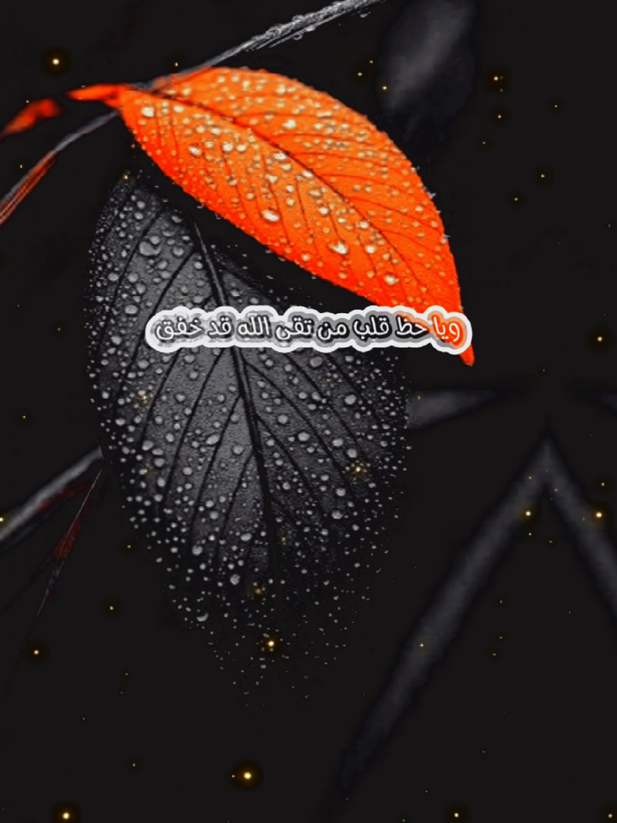 #إلى_الله_نمضي_يا_هنئيآ_لمن_سبق#أناشيد_بدون_موسيقى_نشيد_أكسبلور_ترند 