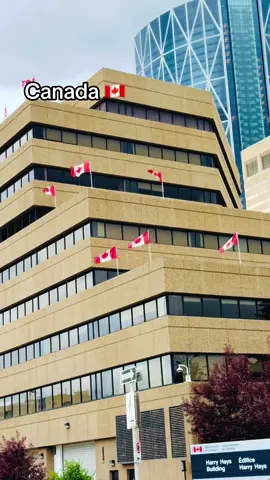 #canada_life🇨🇦 #stampede #canada_life🇨🇦🇨🇦❤️ #fupシ #trandingvideo #trandingsong #foryoupage❤️❤️ #veiws #2millonlike💕 #canada_life🇨🇦 