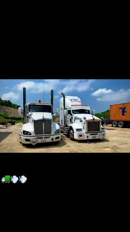 #trailerosmexicanos🇲🇽💯😎 #fyp #trokesperrones 