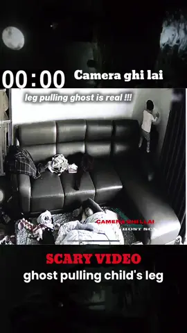 Is this a real ghost pulling leg? #cctv #scary #horror #animal #ghost 