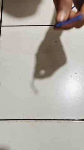Begini cara nyambung tali tambang ukuran kecil dengan  kuat #tukang 