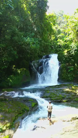 salah satu curug yg ada di Bengkulu Utara. ayo namanya curug apa? mimin spil lokasinya😁 📌Desa Padang Bendar(Bkl Utara) #HealingJourney #alambengkulu #explore #wisata #bengkulu 