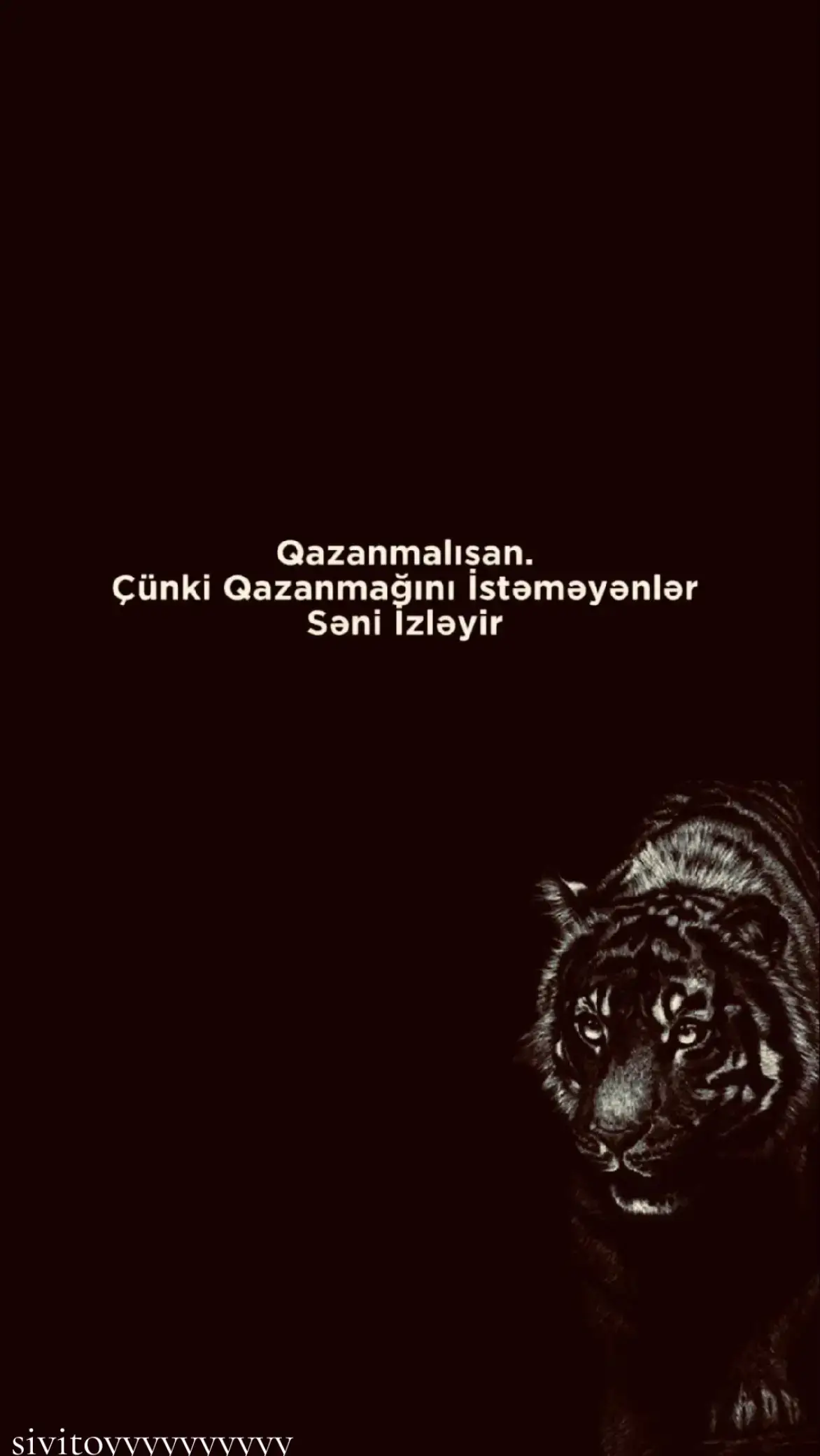#icazəsizəkmə🚫 #sivitoyyyyyyyyyy🖤⚜️📿 