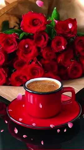 صباح الورد #ستوريات #your_coffee #صباح_الخير 