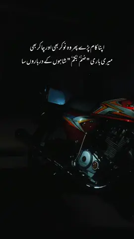 میری باری صُمُّ بُکمُ شاہوں کے درباروں سا 🥀🍂۔ #foryoupage #poetryline #viral #foru #tiktokpakistan #onthisday #foryou #fypシ゚ #views #problem 