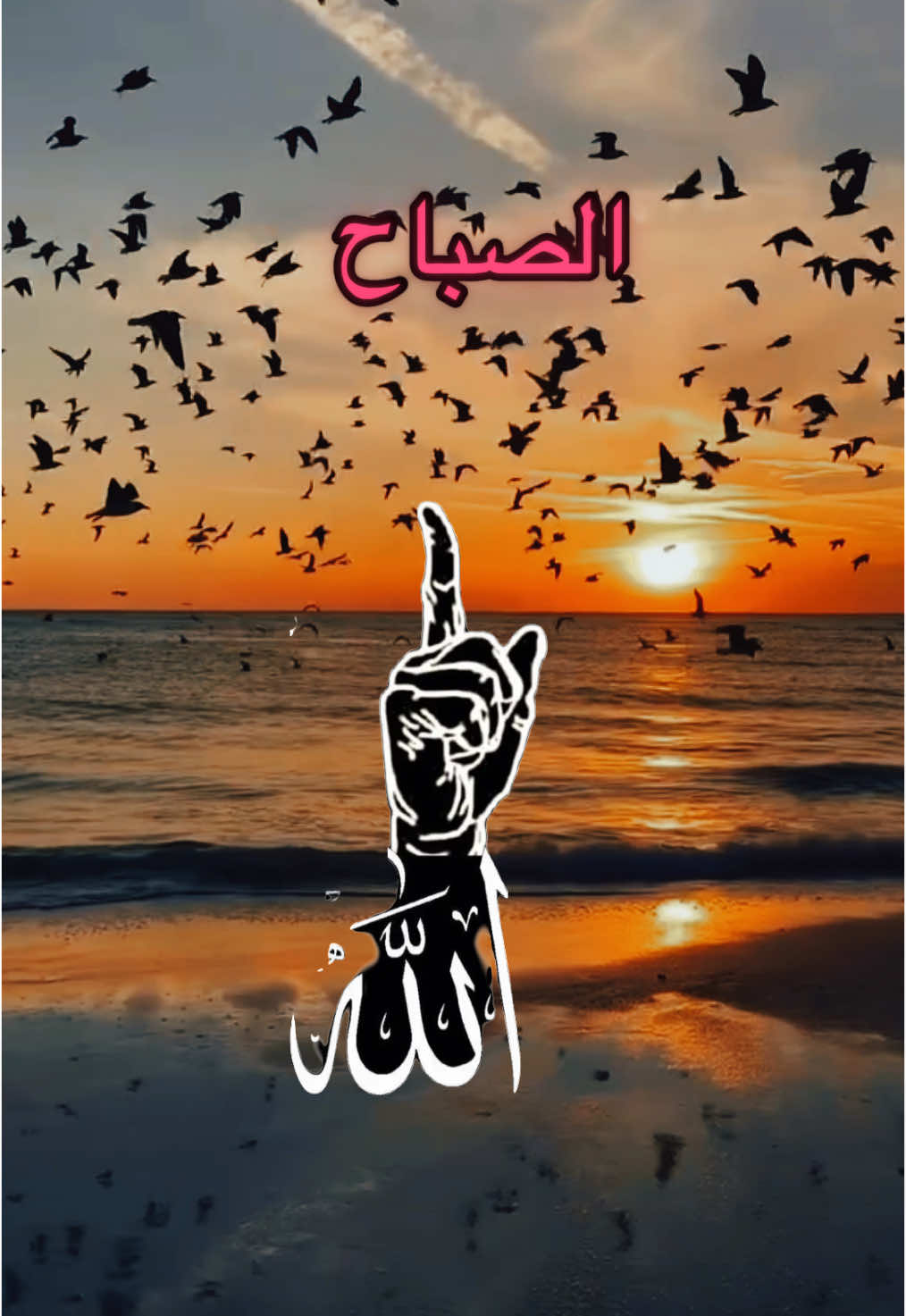 اللهم في هذا الصباح❤️🕊️ #دعاء #ادعيه #صباح_الخير #اللهم #دعاء_يريح_القلوب #صباحو #صباحكم_معطر_بذكر_الله #صباحيات #حالات #لايك #اللهم_امين #في #الصباح #hanan🤲 #foryoupage #explore 