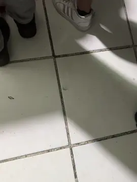 #fypシ゚ 