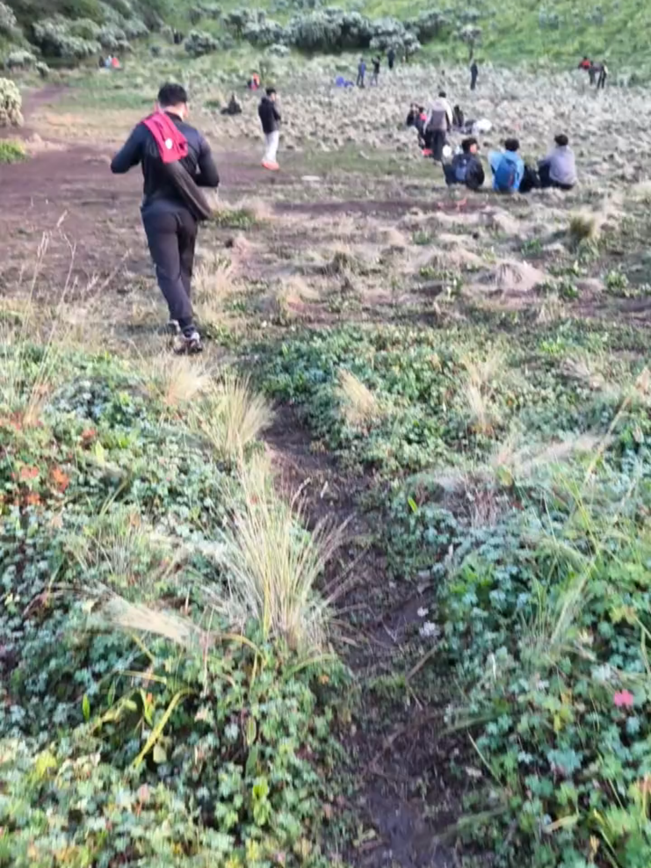 Merbabu🫶🥹 #beautifulview #merbabu3142mdpl #mountain #gunung #fyp 
