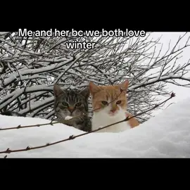 Can winter come faster #s #gf #ilovemygf #xyzbca #fypシ #fy #winter #real 