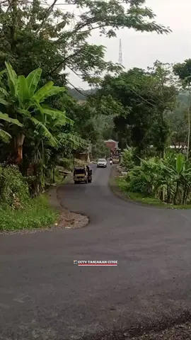 Full Kanan#cipatujah #citoecipatujah #tasikmalaya_jawabarat #tanjakancitoecipatujah #cctvtanjakancitoe #admincctvtanjakancitoe 