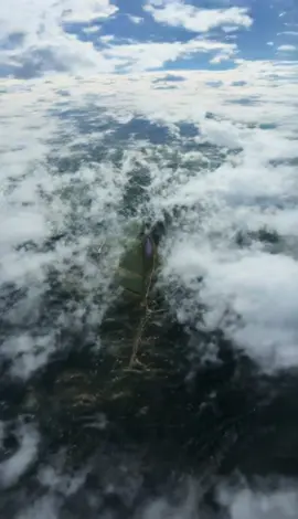 #CapCut 