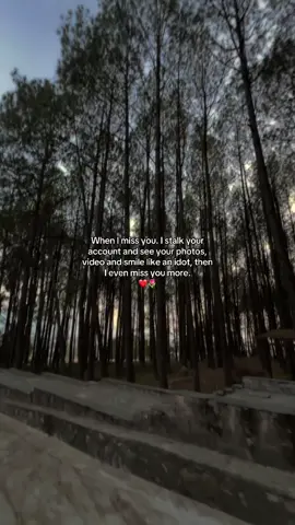 Episode-1584… When I miss you. I stalk your account and see your photos, video and smile like an idot, then I even miss you more❤️🌷 #rachanaraai 