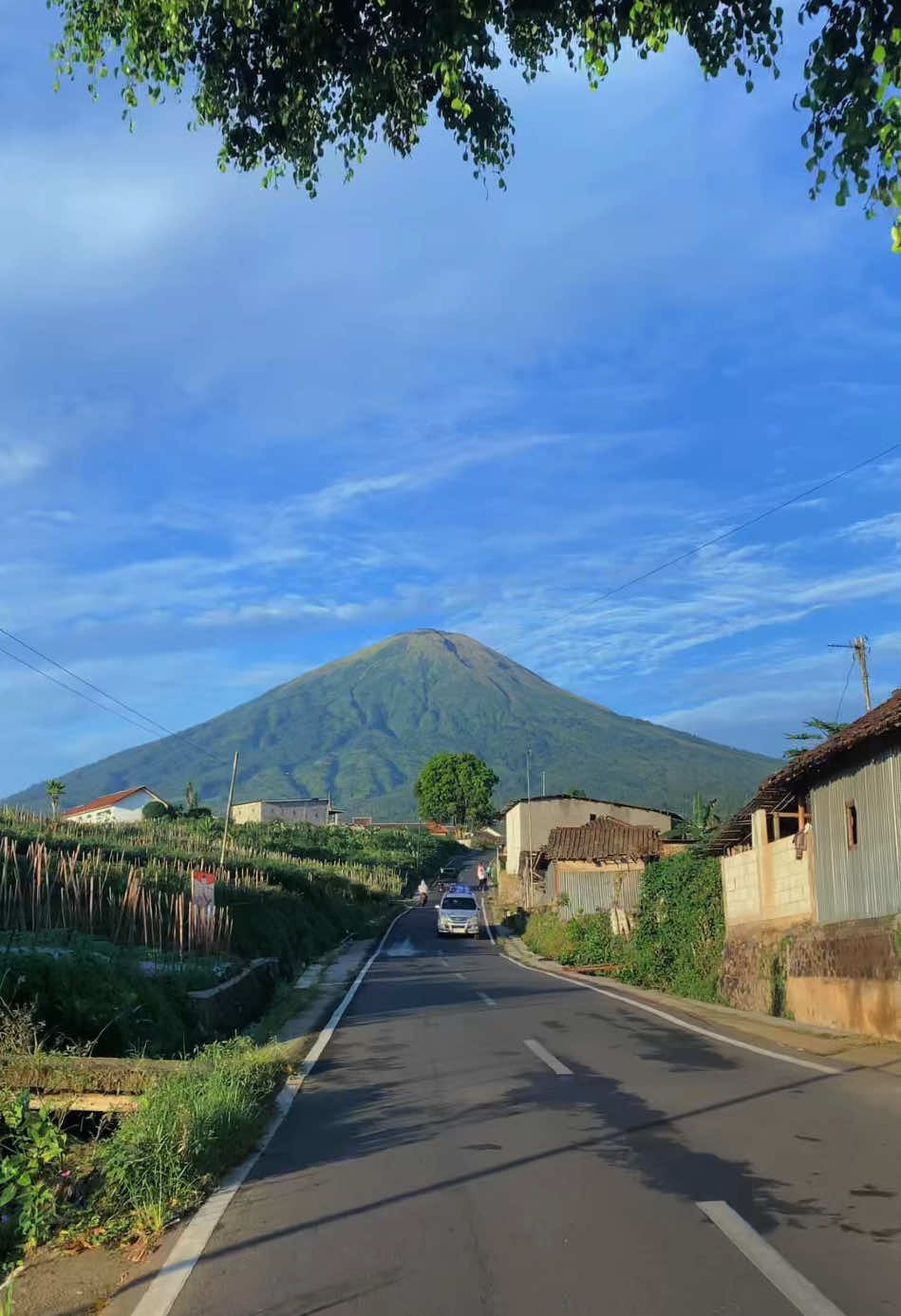 Bahan SW yang sering dapet kabut kalau lewat sini 🗻 📍view sindoro kecamatan candiroto, Temanggung  #bahansw #sw #fyp #fypage #berandatiktok #4u #berandatiktokterbaru #menghubungkanindonesia #beranda #dieng #berandafyp #temanggung24jam 