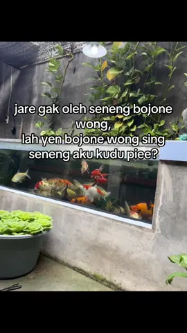 Timbang mikir koe penak turu wae 💃🏻