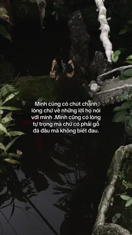 …#tamtrang #story 