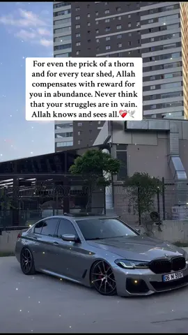 For even the prick of a thorn and for every tear shed, Allah compensates with reward for you in abundance. Never think that your struggles are in vain. Allah knows and sees all.❤️‍🩹🕊️#prayer #allah❤️ #duaa #sabr #islam #deenoverdunya #deen #islamicquotes #islamic_video #islamicreminder #foryoupage❤️❤️ #foryoupagе #viral_video #videoviral #viral #quoteoftheday #quotes #✨🦋 