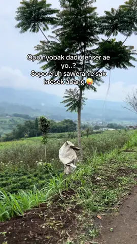 Masok ra lerr?? 