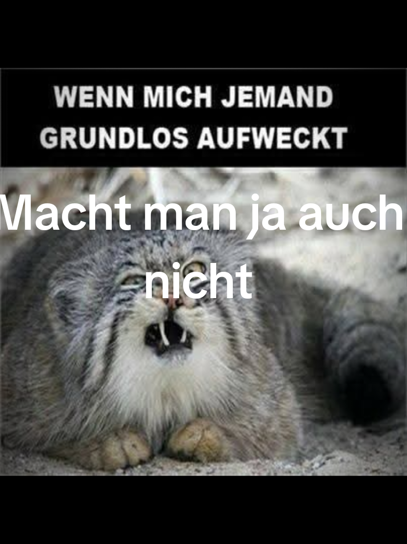#😂😂😂 #machtmannicht 