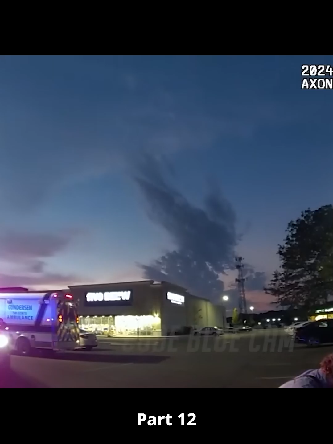 He Stole From Walmart Then Parked Right Across the Street - Part 12 #from #fyp #policechase #walmart