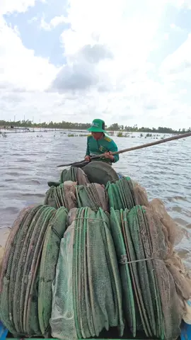 mùa nước nổi đã bắt Đầu,,, mùa nước nổi 2025
