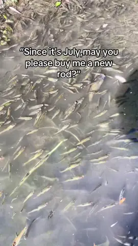 Please #fishing #fishinglife #fisherman #fishingtiktoks #foryou 