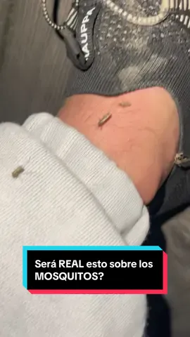 Teoría con referencia a las #picadurasdemosquitos y a los #mosquitos en general 🦟 el como reaccionas a ello cuenta más de lo que piensas, pero… por qué es así? #viajedelser 