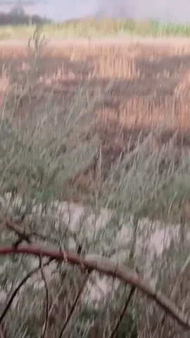 #война 