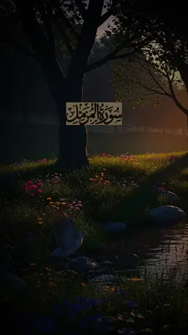 Beautiful Quran Recitation with Translation|Surah Al-Muzzammil#fyp #quran #foruyou #islamic_video #viralvideos 