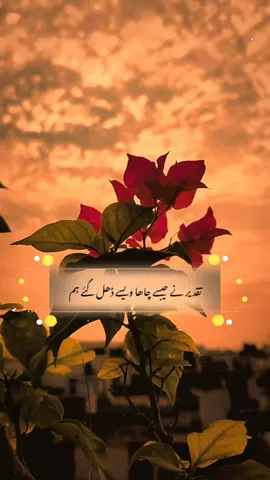 #CapCut #log khte hn badal gay hum 🥺