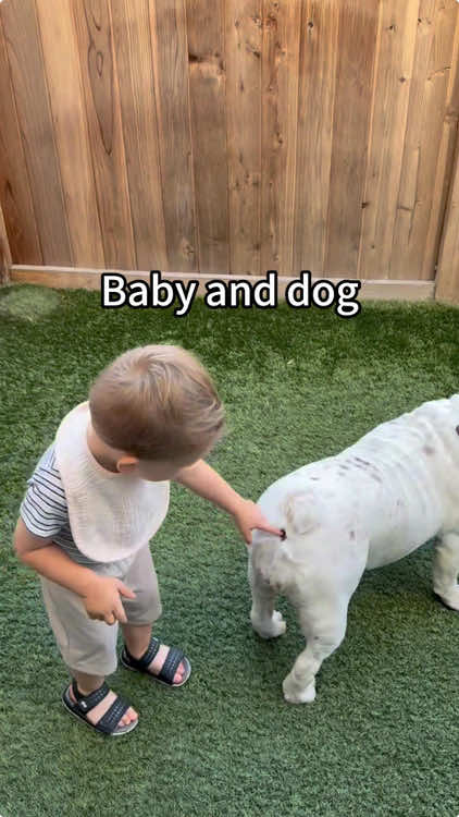 Baby and dog#kids #boymom #😂😂😂 #funny #PetsOfTikTok #dog#funnycideo 