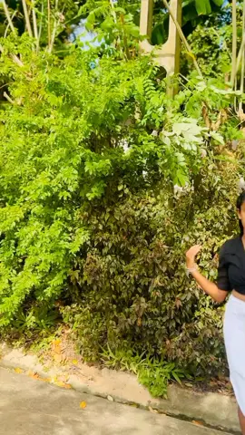 Shaky Shaky 🌝💃🥰#@_VINU_00_ ❤️ #viral #trending #fyyyyyyyyyyyyyyyy #onemillionaudition  @H_i_m_a_🤍🥀 @Yenu_💖 @Ozii🤍💐😏 @🧚🏼‍♀️🥀 Dilee 🥀🧚🏼‍♀️ @Miyu_001 